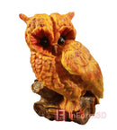 InForm3D Paradiesuhu-1