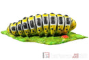 InForm3D Raupe-3