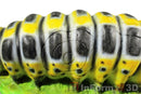 InForm3D Raupe-4