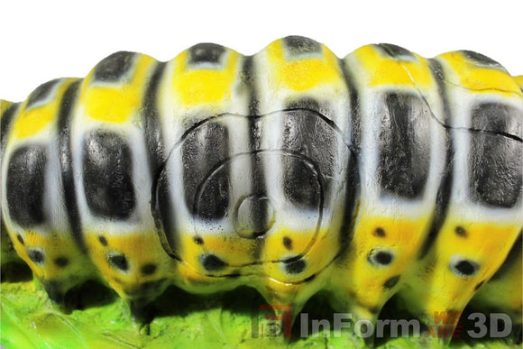 InForm3D Raupe