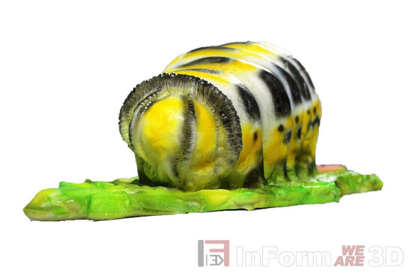 InForm3D Raupe
