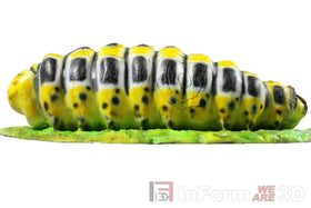 InForm3D Raupe - 0