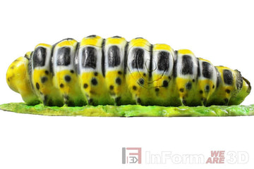 InForm3D Raupe - 0