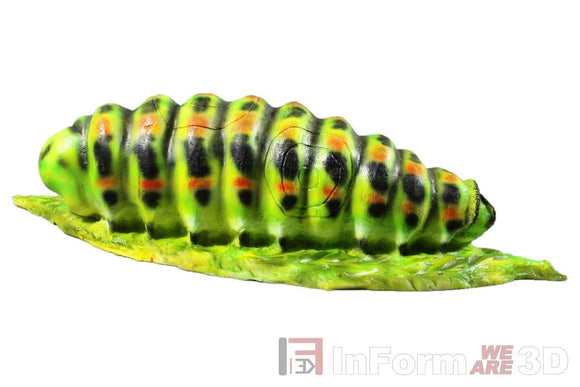 InForm3D Raupe