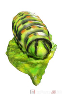 InForm3D Raupe-10