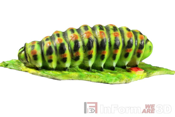 InForm3D Raupe