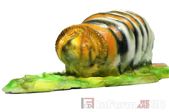 InForm3D Raupe