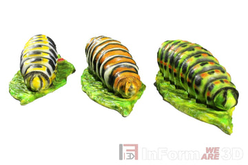 InForm3D Raupe