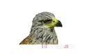 InForm3D Greif-16