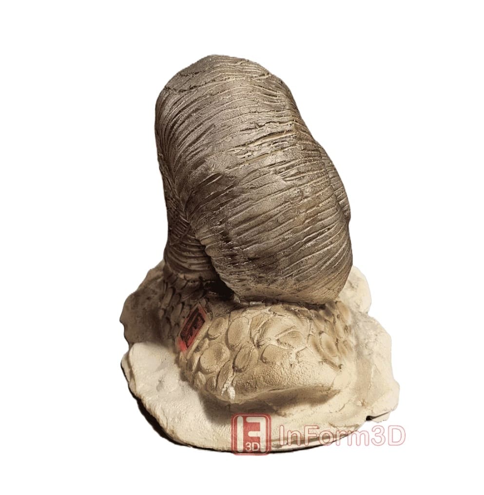 3D-Tier InForm3D Schnecke, kriechend | Bogensport Rmer