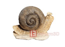 InForm3D Schnecke, kriechend-1