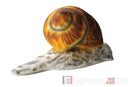 InForm3D Schnecke, mit Knick-4