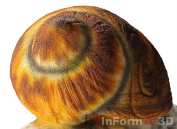 InForm3D Schnecke, mit Knick