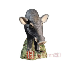 InForm3D Verloper - 0