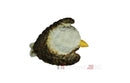 InForm3D Greif-11