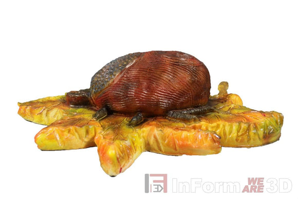 InForm3D Zecke