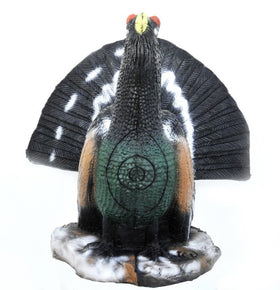 Leitold Auerhahn, balzend - 0