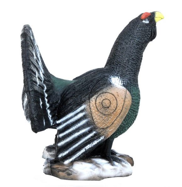 Leitold Auerhahn, balzend