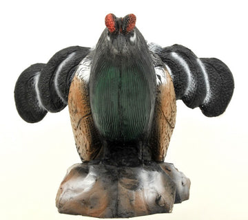 Leitold Birkhahn, balzend - 0