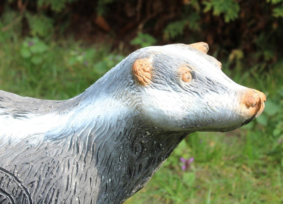 Leitold Dachs, laufend