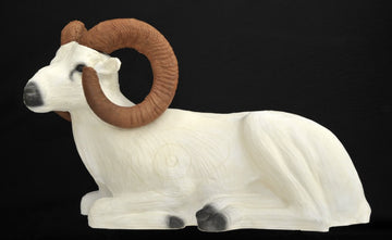 Leitold Dallschaf, liegend