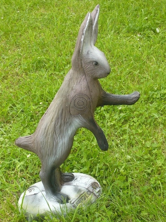 Leitold Feldhase, aufrecht stehend