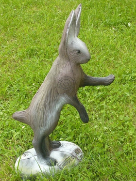 Leitold Feldhase, aufrecht stehend