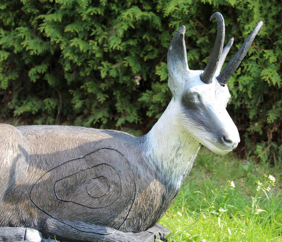 Leitold Gams, liegend