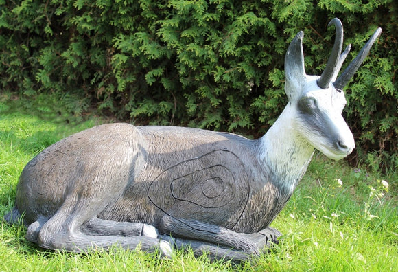 Leitold Gams, liegend