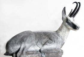 Leitold Gams, liegend