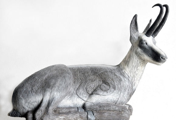 Leitold Gams, liegend