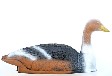 Leitold große Graugans