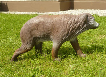 Leitold kleiner Braunbär, laufend - 0