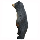 Leitold kleiner Schwarzbär-3