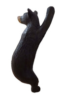 Leitold Schwarzbär, kletternd-3