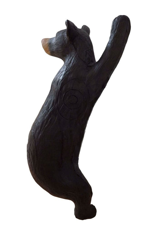 Leitold Schwarzbär, kletternd