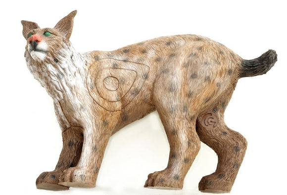 Leitold Luchs, laufend