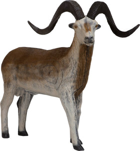 Leitol Marco Polo, stehend