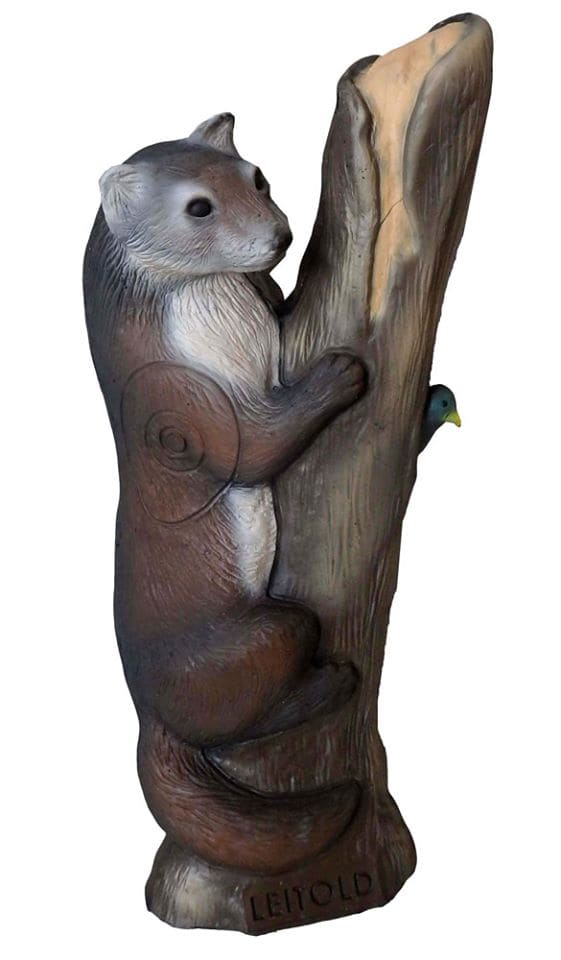 Leitold Marder, kletternd