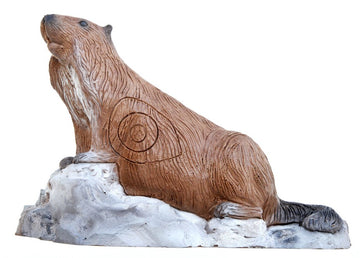 Leitold Murmeltier laufend