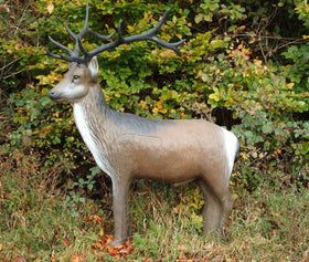 Leitold Rothirsch, stehend - 0