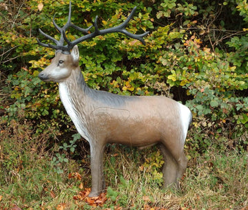 Leitold Rothirsch, stehend - 0