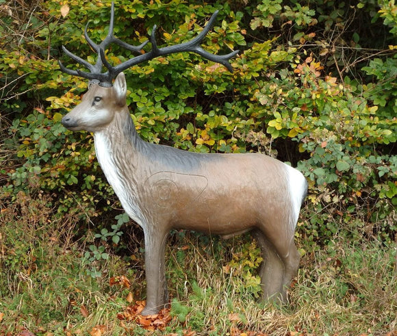 Leitold Rothirsch, stehend