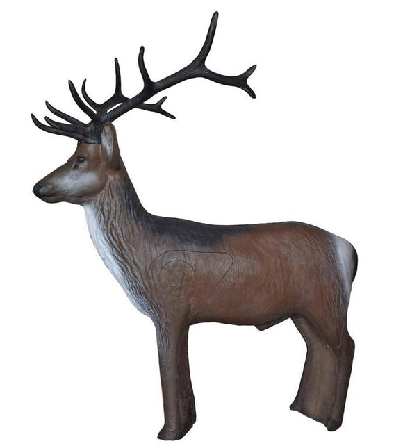 Leitold Rothirsch, stehend