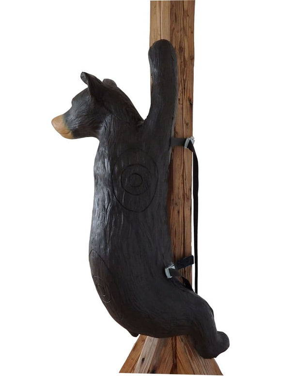 Leitold Schwarzbär, kletternd, mit Gurt