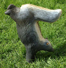 Leitold Stinktier auf Vorderbeinen-2