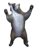 Leitold Waschbär kletternd-3