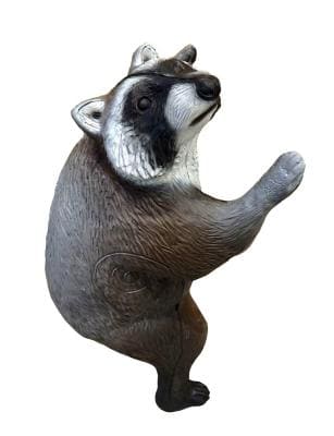 Leitold Waschbär kletternd