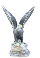 Leitold Weißkopfseeadler-2