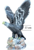 Leitold Weißkopfseeadler-3